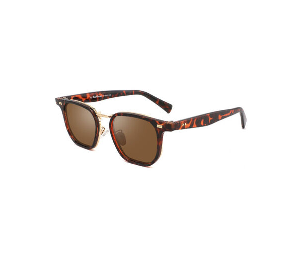 AlterImage Shells Tortoise / Brown Lens eyewear from Hasbro Leather
